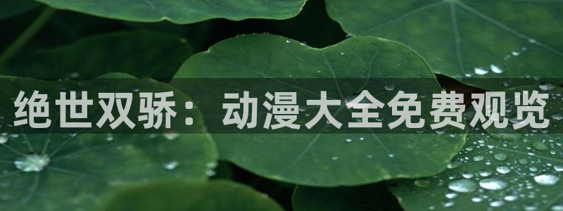 动漫网58动漫：绝世双骄：动漫大全免费观览