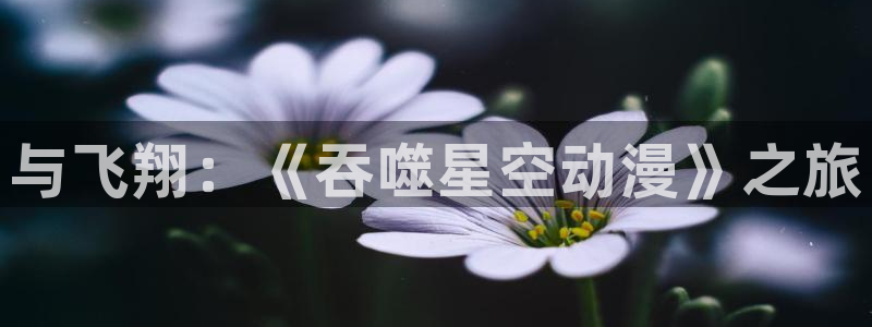 58动漫网页：与飞翔：《吞噬星空动漫》之旅