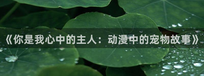 58动漫网页：《你是我心中的主人：动漫中的宠物故事》