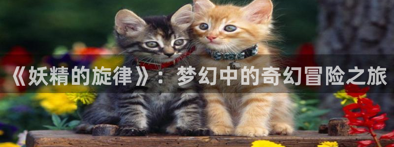 58动漫网官方下载：《妖精的旋律》：梦幻中的奇幻冒险之旅